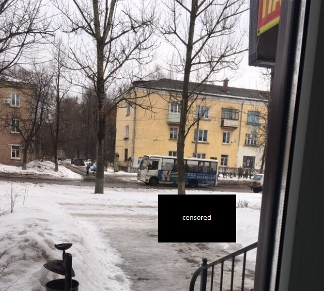 Владимирцы возмущены поведением мужчины, нагадившего посреди улицы (фото)