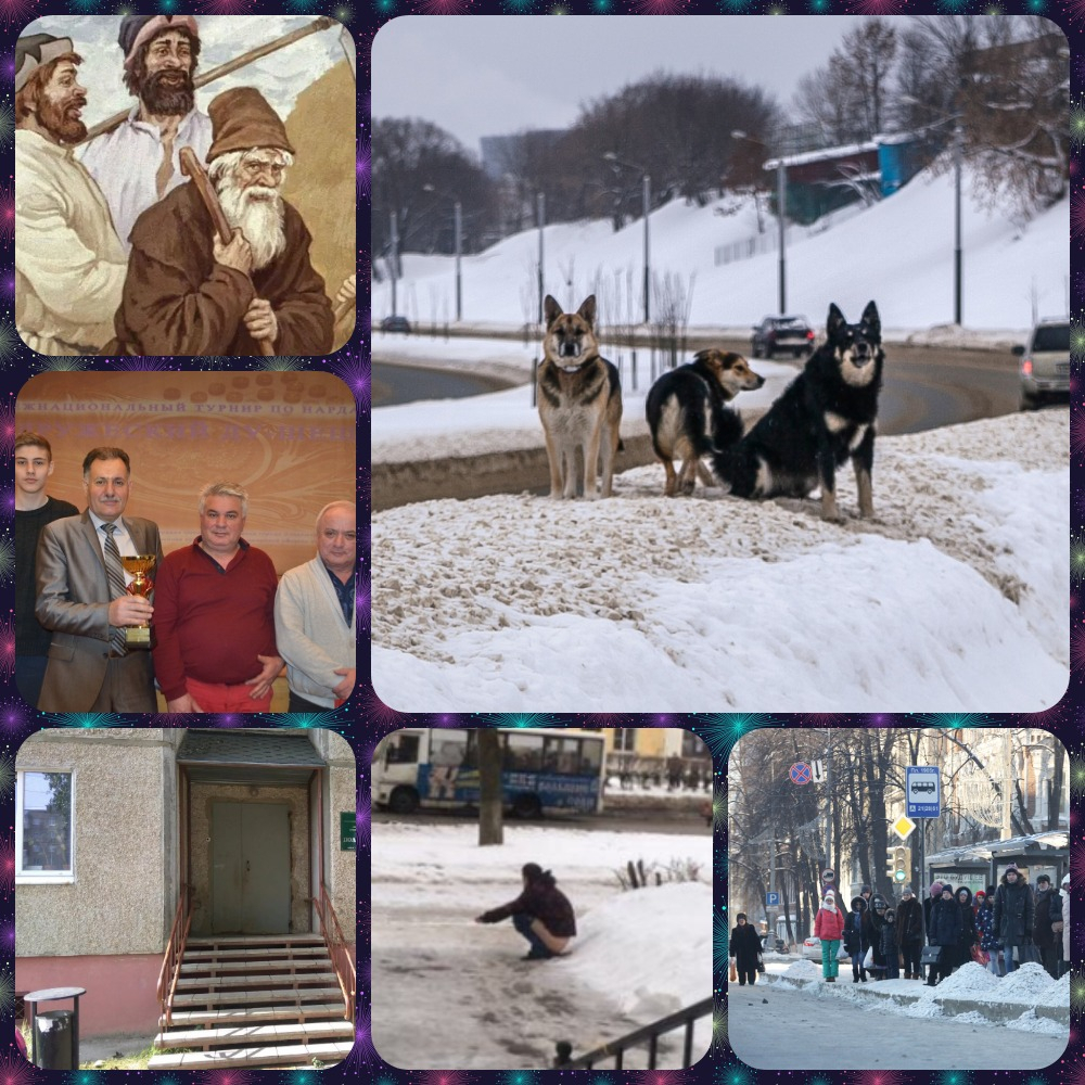 Владимир за день: бездомные собаки, гадящий мужик и поликлиника в Добром