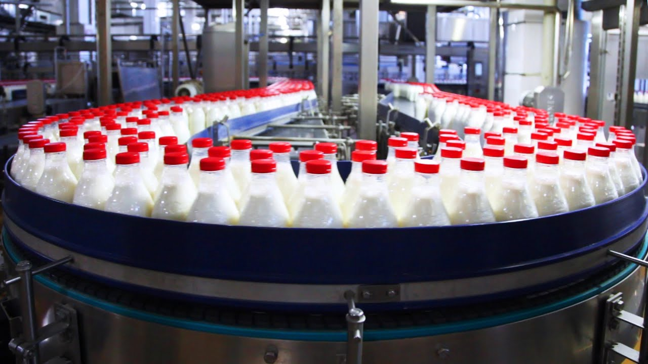 Киржачский молочный завод заплатит 100 тысяч за обман потребителей