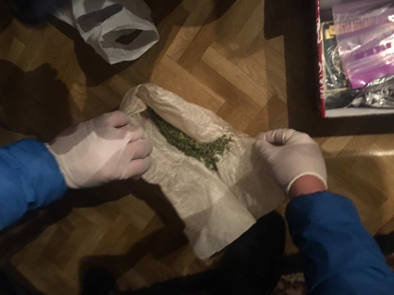 Житель Владимирской области вырастил почти 4 килограмма марихуаны