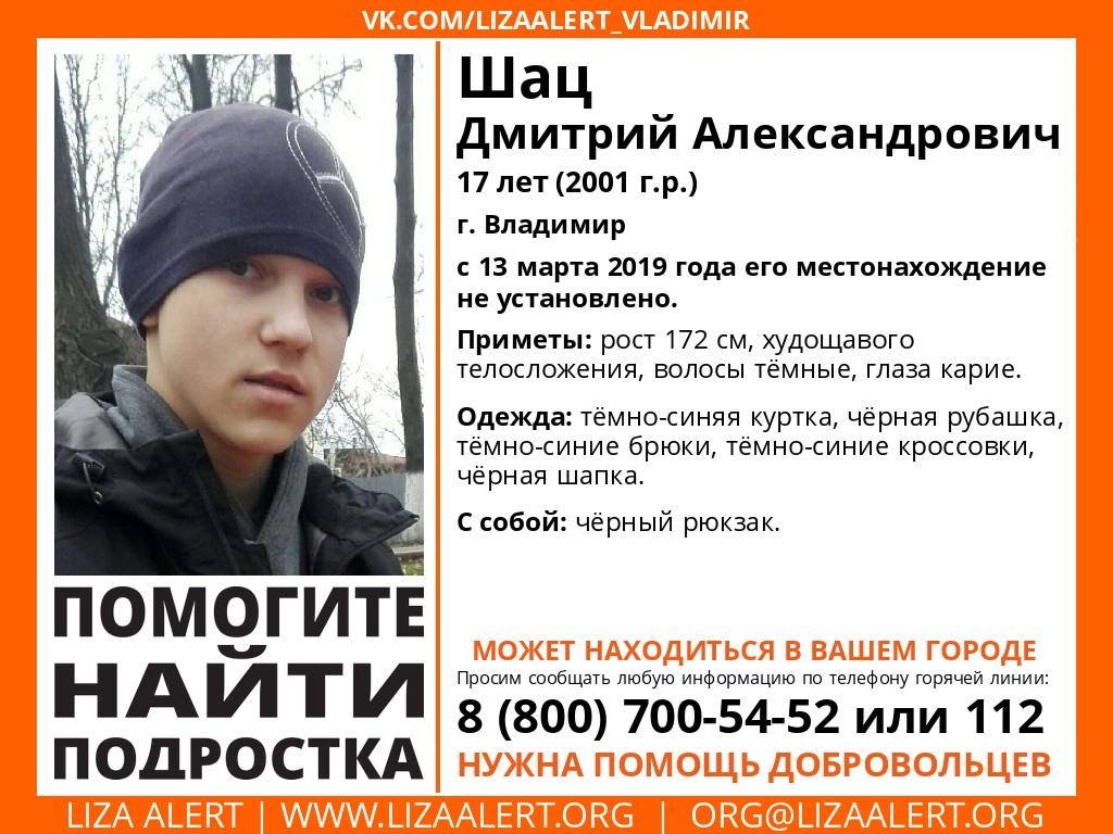 Владимирцев просят помочь в поисках подростка