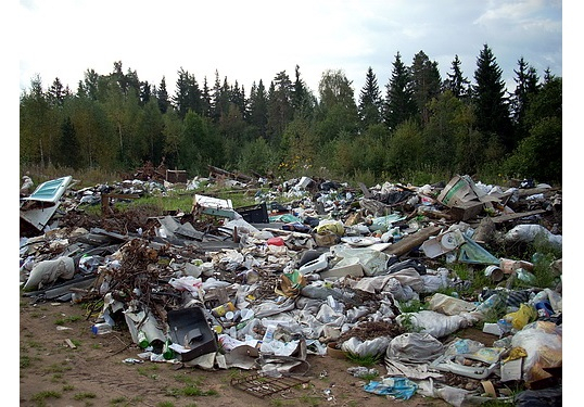 В Гусь-Хрустальном ликвидировали незаконную мусорную свалку