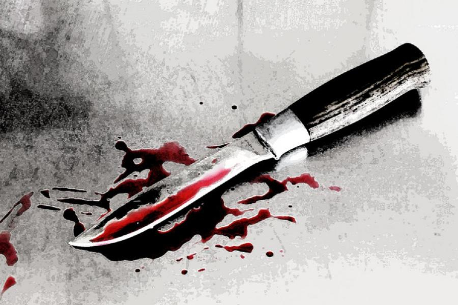 Пьяный наркоман зарезал своих собутыльников - двух женщин и мужчину