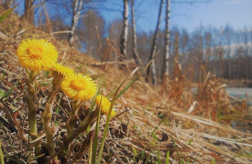 Погода во Владимире и области на 5 мая