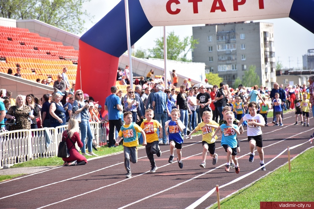 Владимирские дошколята-легкоатлеты приняли участие в эстафете