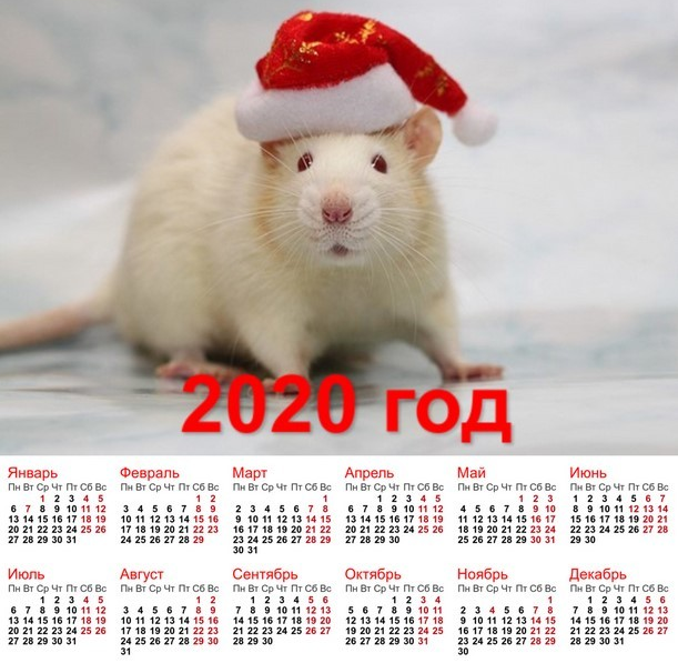 Владимирцам рассказали, сколько будет выходных и праздников в 2020 году
