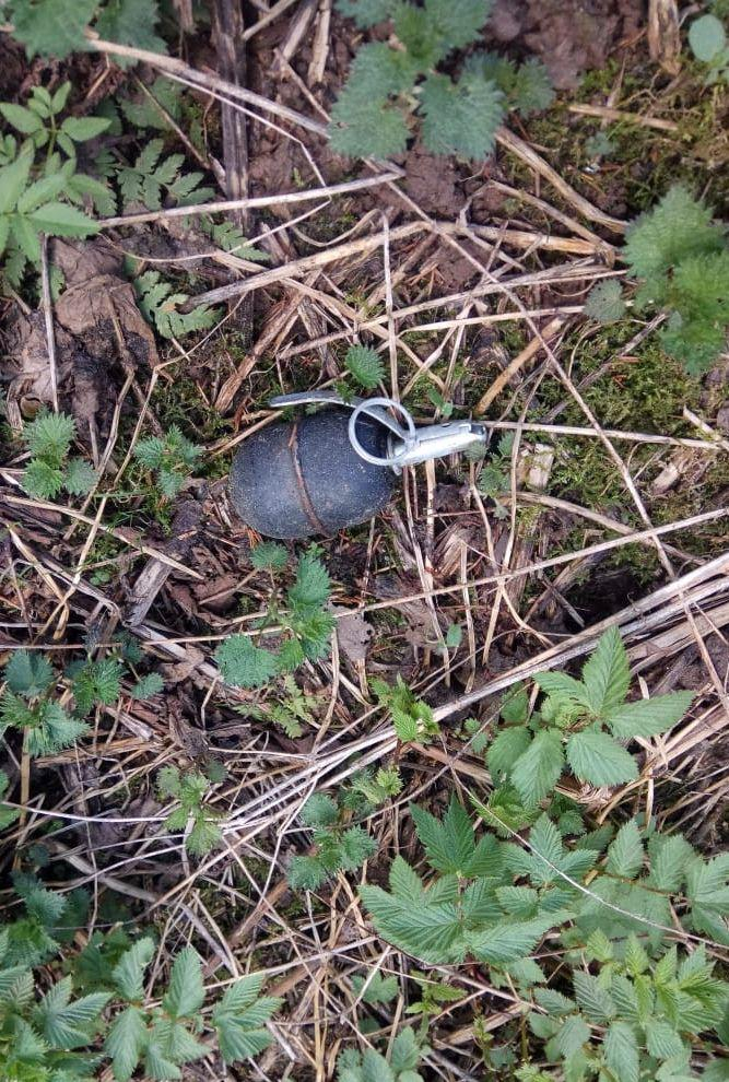 Житель Александровского района нашел на своем участке гранату
