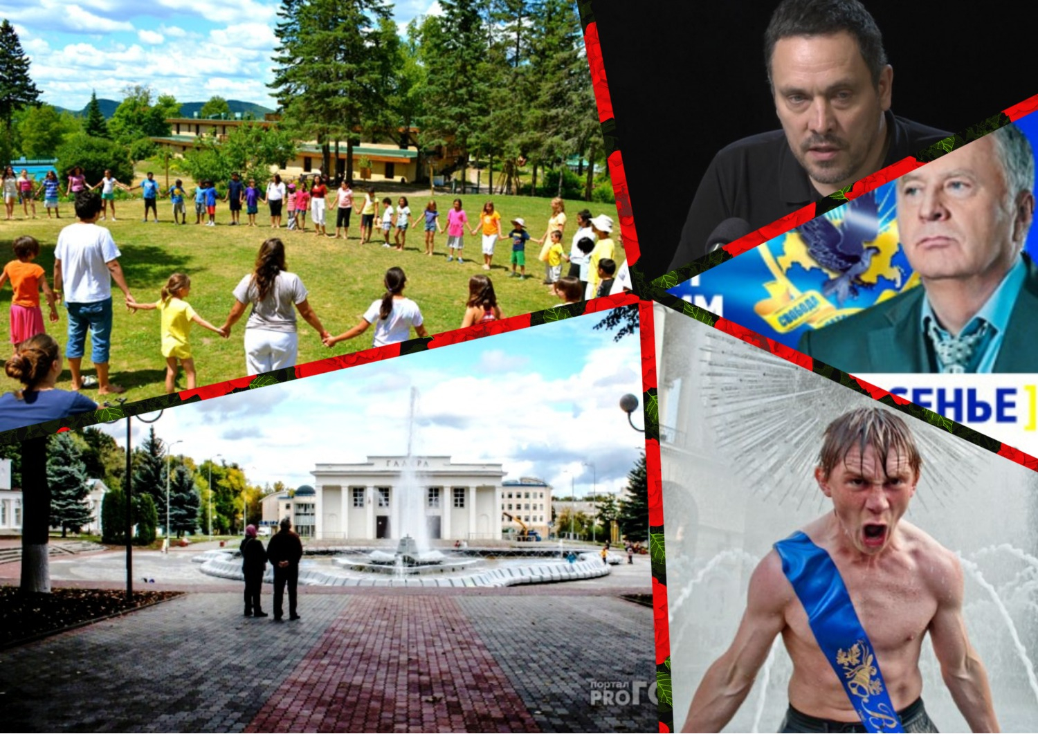 Владимир за день: комиссия по этике, зверское убийство и городские парки