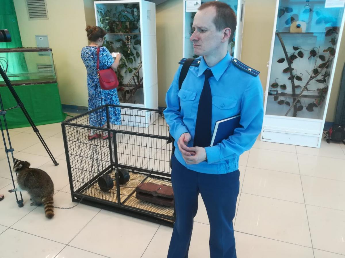 Прокуратура Мурома выявила незначительные нарушения в контактном зоопарке