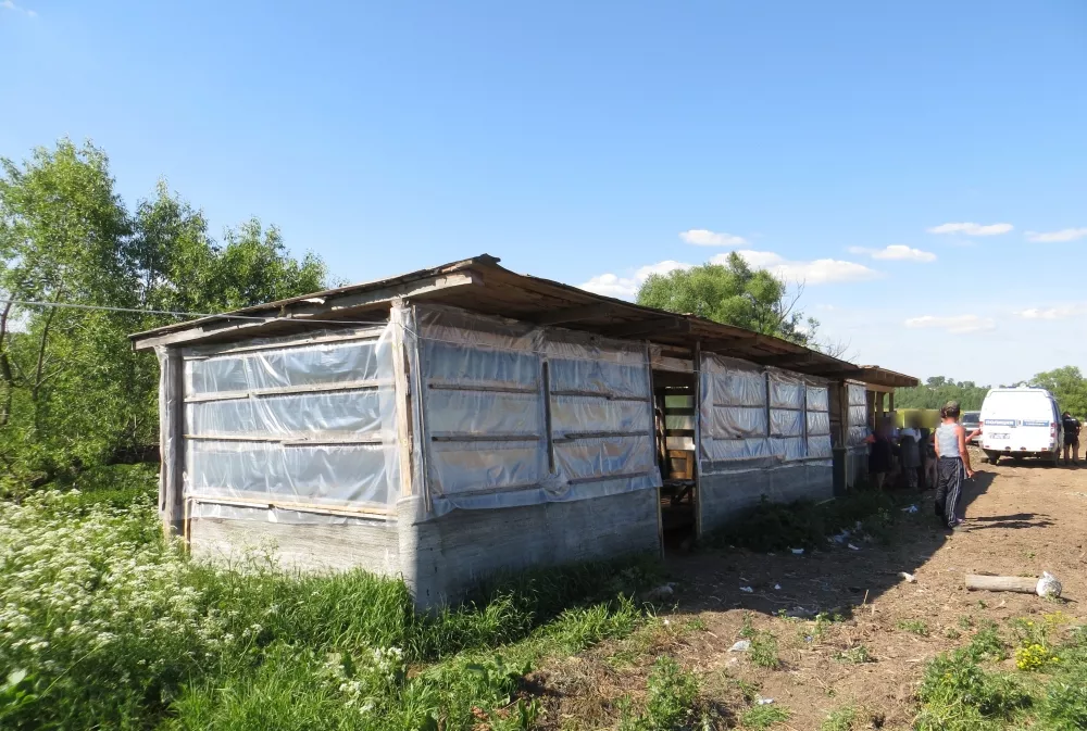 Фото к статье: Находчивые незаконные мигранты нашли себе жилище под Юрьев-Польским