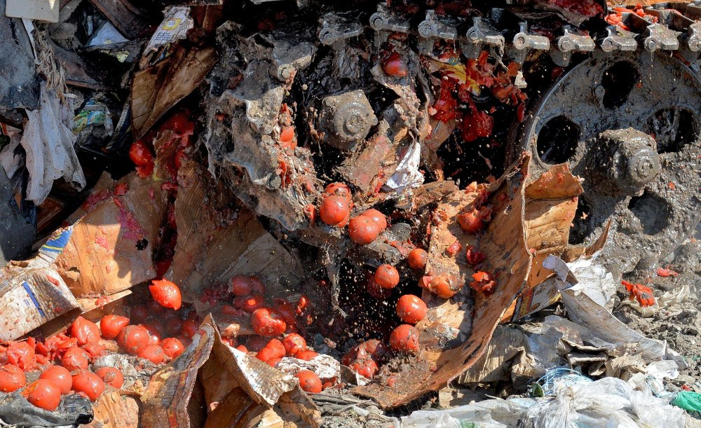 Большинство владимирцев недовольны уничтожением 114 килограмм томатов