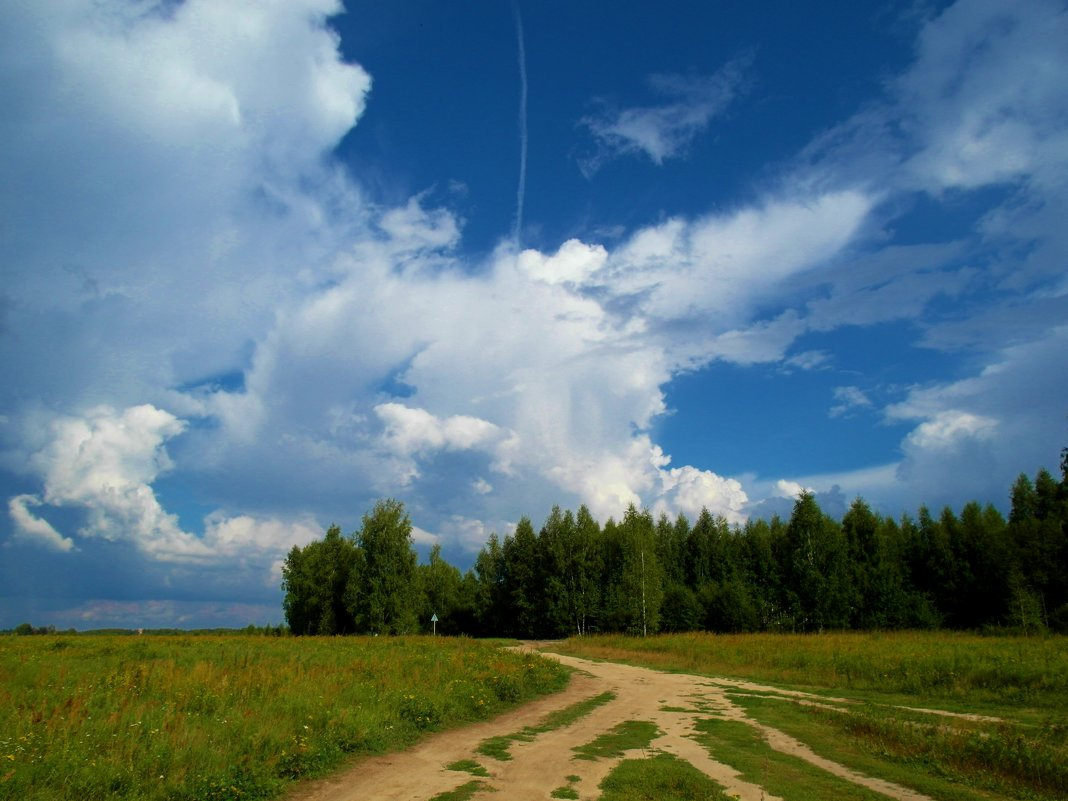 Погода во Владимире и области на 17 июля