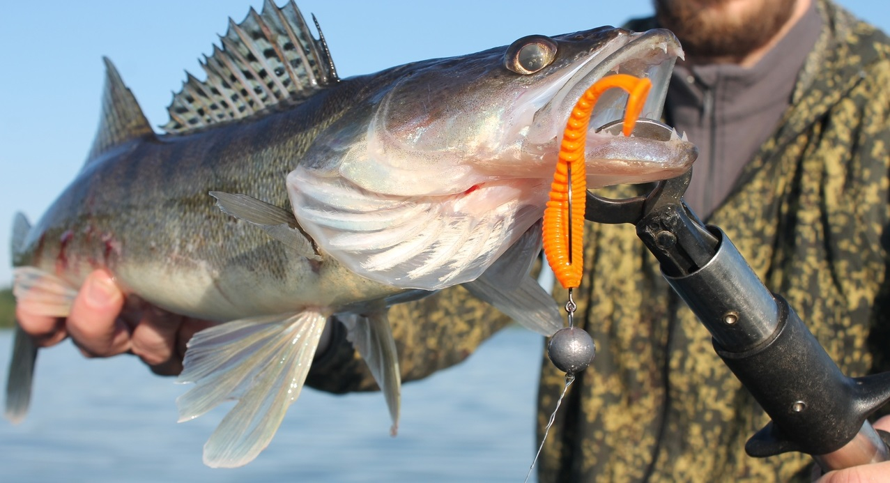 Рыбалка на реке Клязьма: виды рыбы и советы