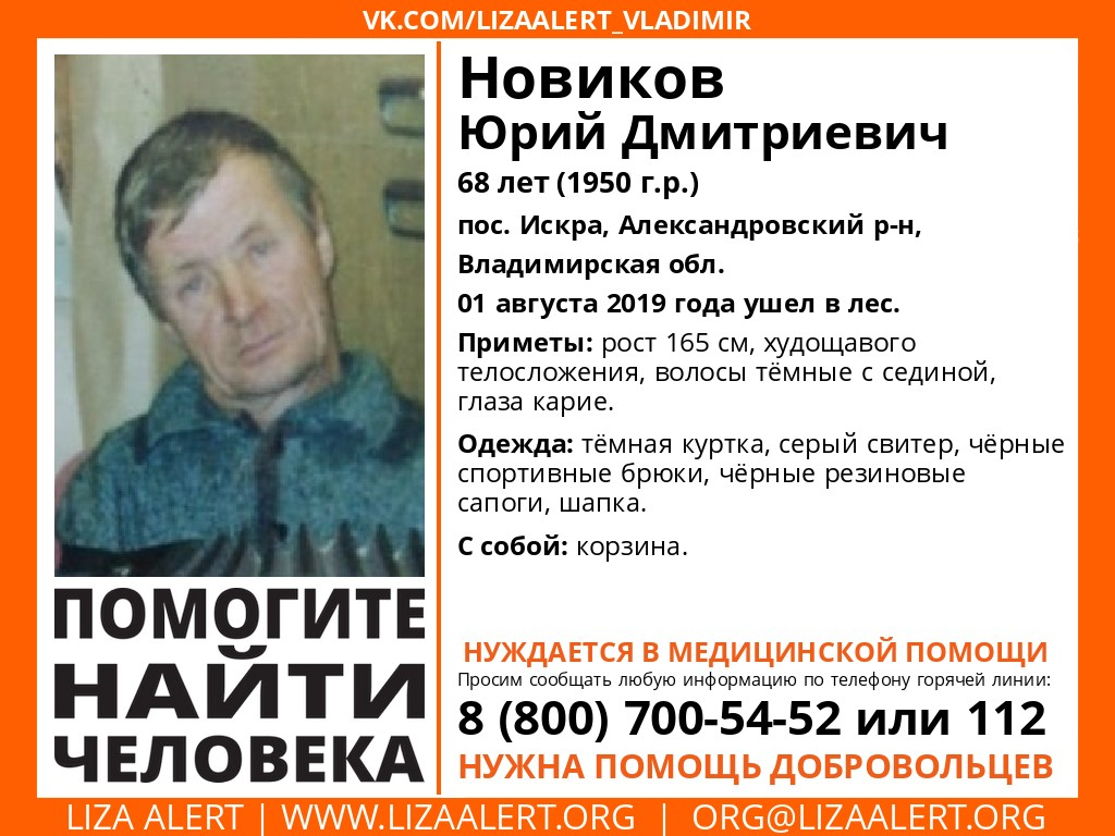 Владимирцев просят помощи в поисках мужчины с корзинкой