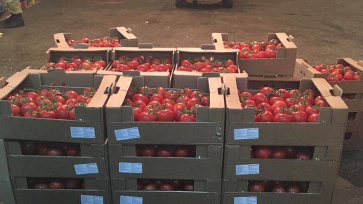 Во Владимирской области уничтожили 837 кг томатов неизвестного происхождения
