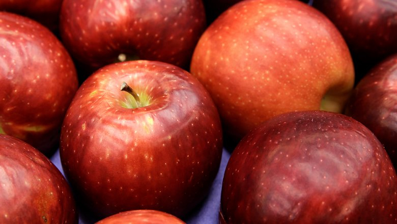 Во Владимире раздавили 38 килограммов яблок