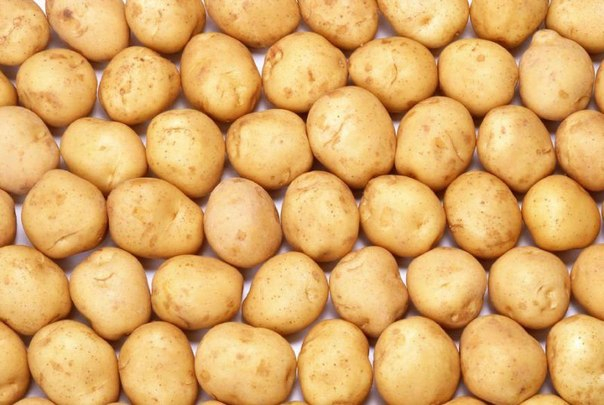 Опасность жареной картошки: что нужно знать владимирцам?