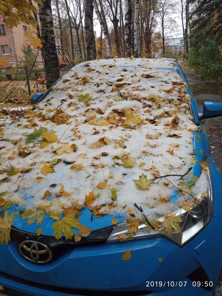 Фото к статье: "Тонировка" по-владимирски: осенне-зимний вариант