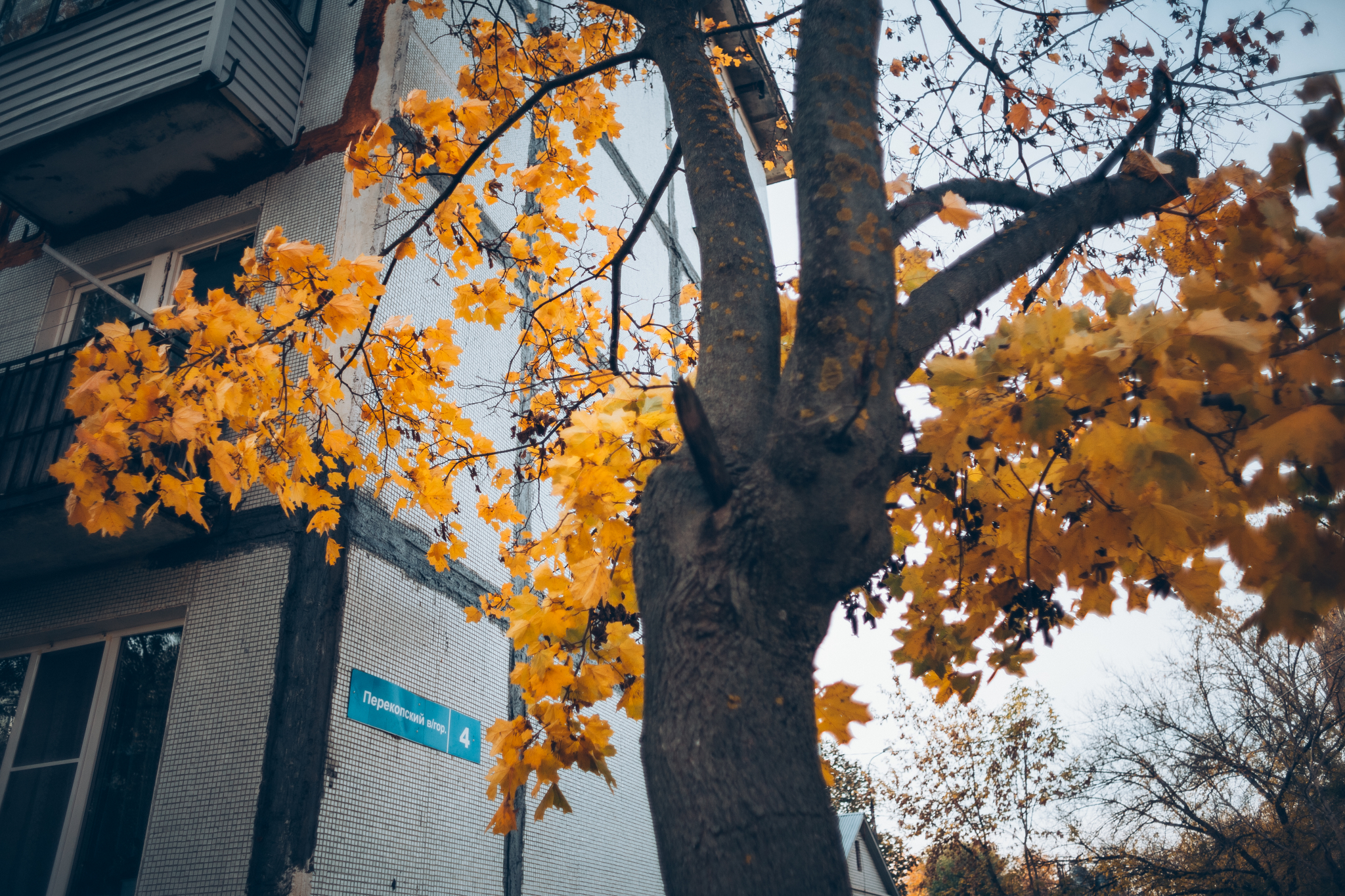 Погода во Владимире на 18 октября