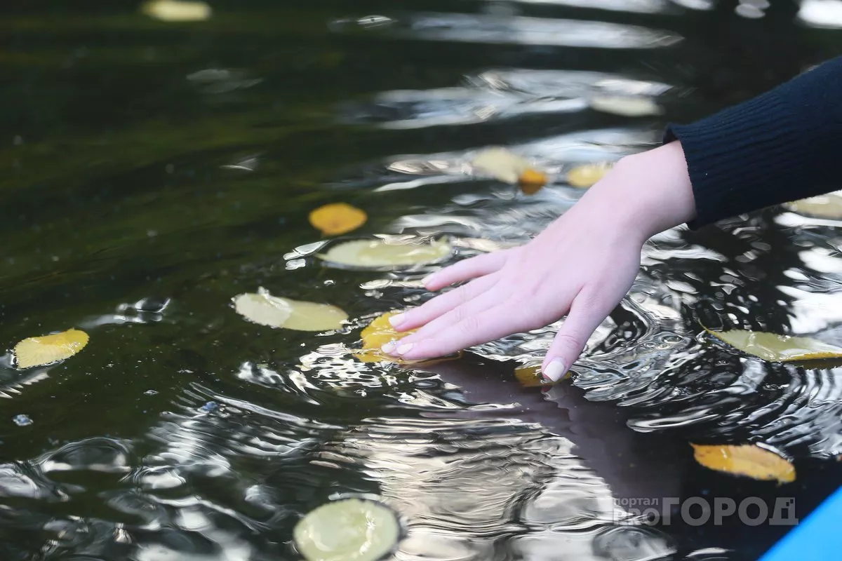 Фото к статье: Аномально тёплой погоде в России дали объяснение