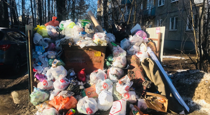 Столица поделится мусором с Владимирской областью