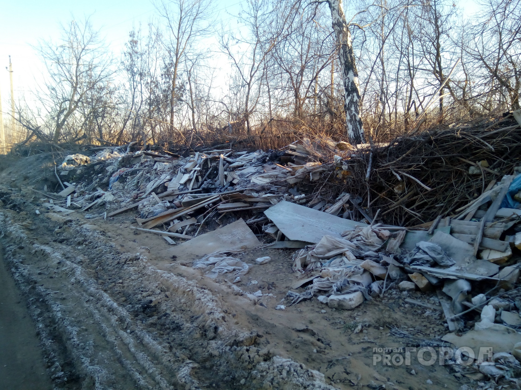 Владимирцам запретили сжигать непереработанный мусор