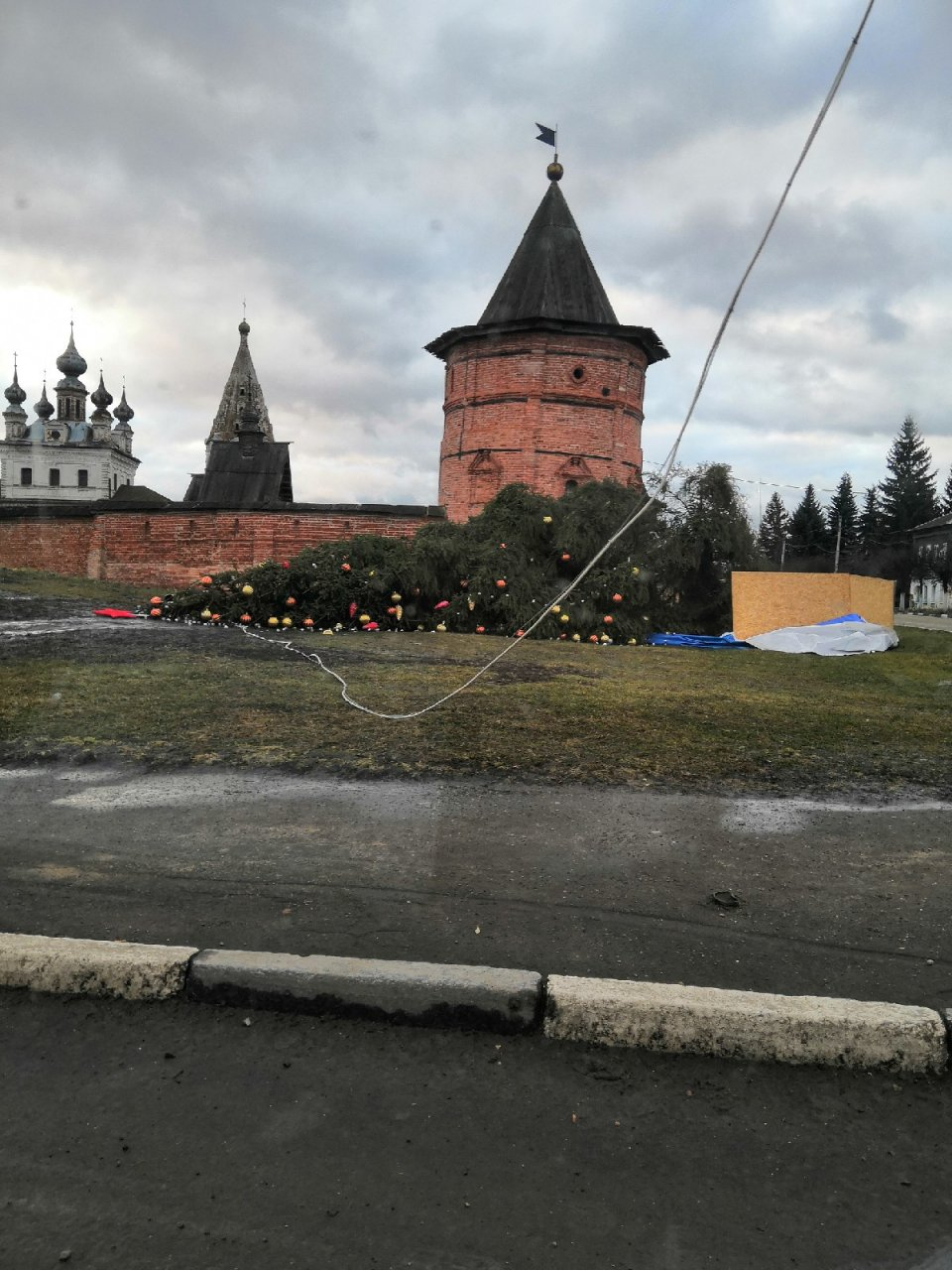 Во Владимирской области упала новогодняя елка