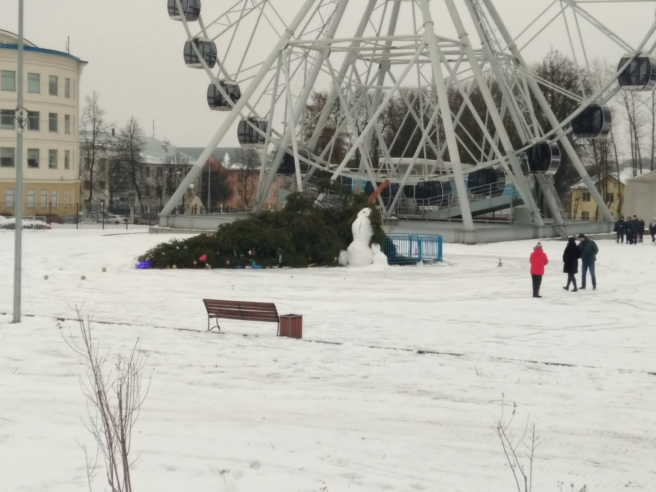 В Центральном парке Владимира упала новогодняя елка