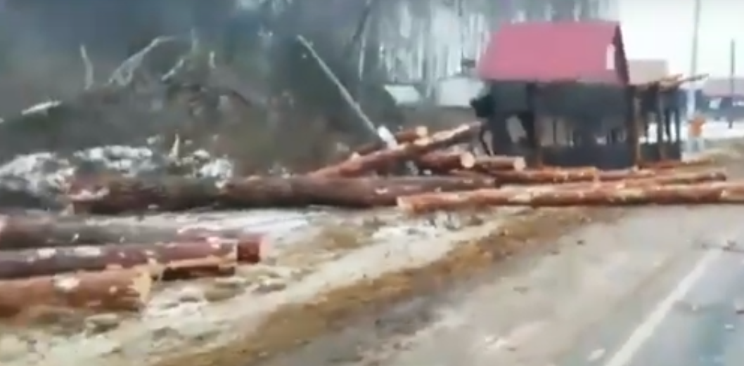 Пункт назначения: в Меленковском районе опрокинулся лесовоз