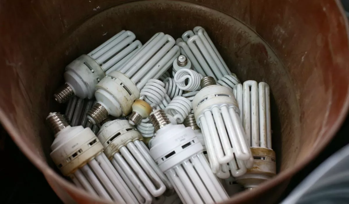 Фото к статье: Владимирские школы нарушают правила хранения “опасных” ламп