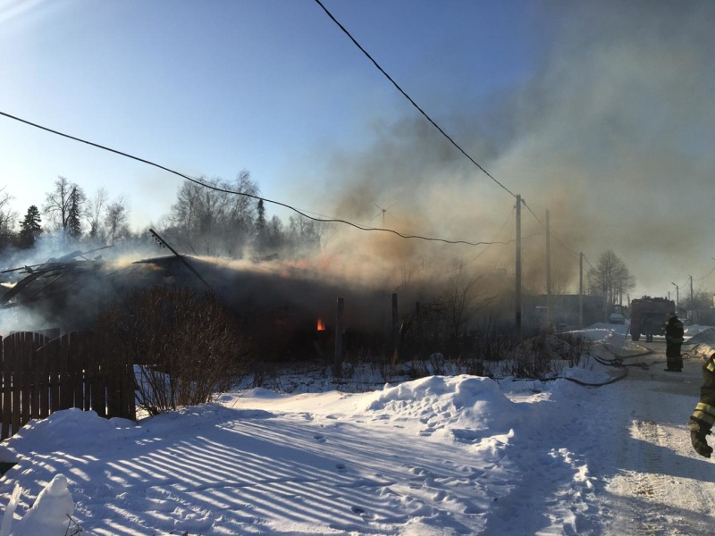На крупном пожаре в Петушинском районе пострадал человек