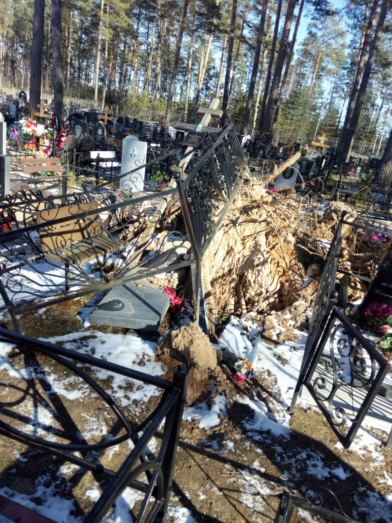 Штормовой ветер перевернул могилы на кладбище во Владимире