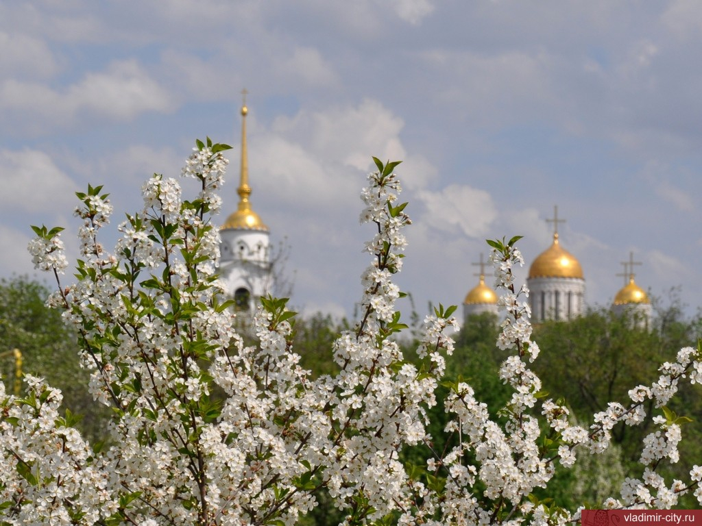 Ярославль весной фото в мае