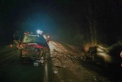 В Меленковском районе в ДТП скончался пассажир Ford