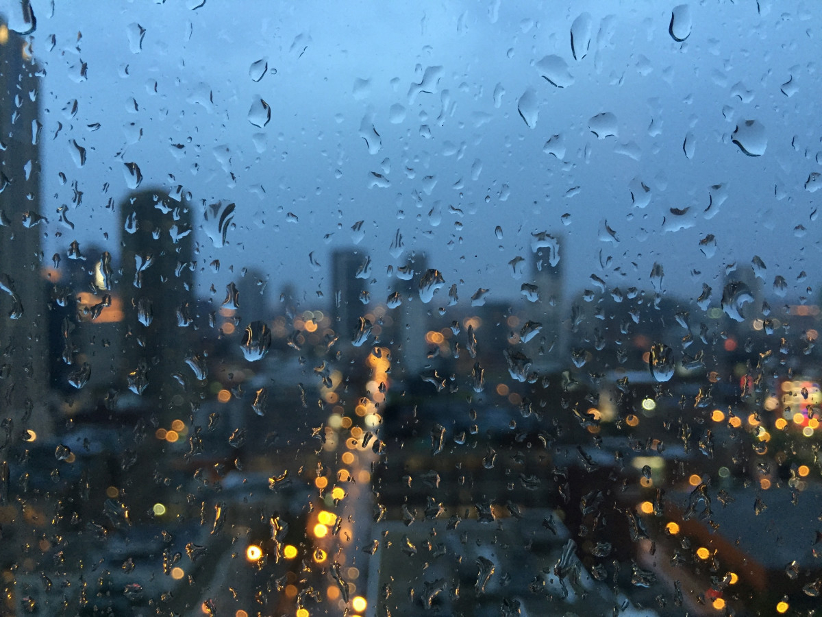 Дожди и ветер: синоптики рассказали о погоде во Владимире на выходных