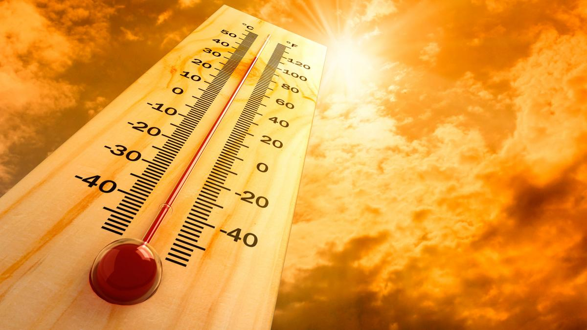 Лето может стать одним из самых жарких в истории