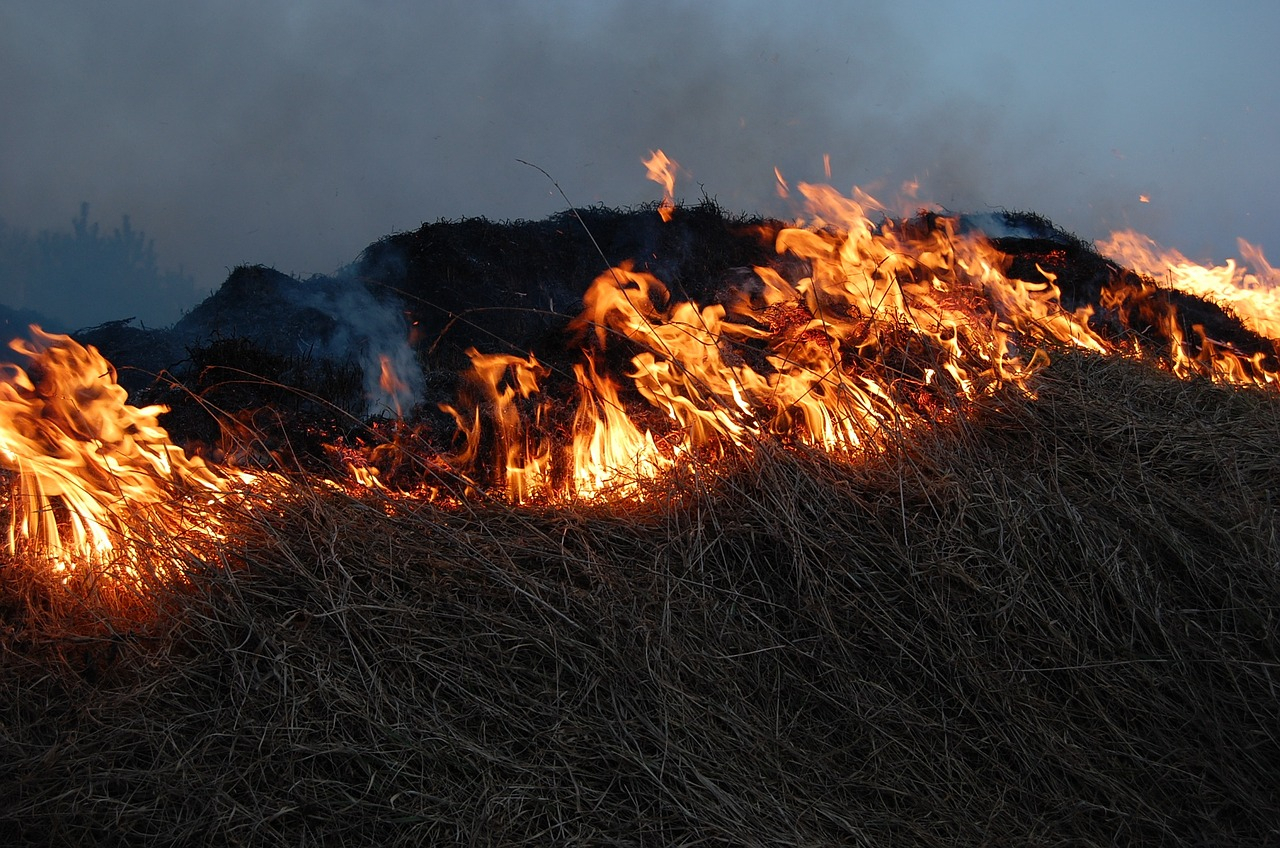 Во Владимирской области с начала года произошло около 500 ландшафтных пожаров