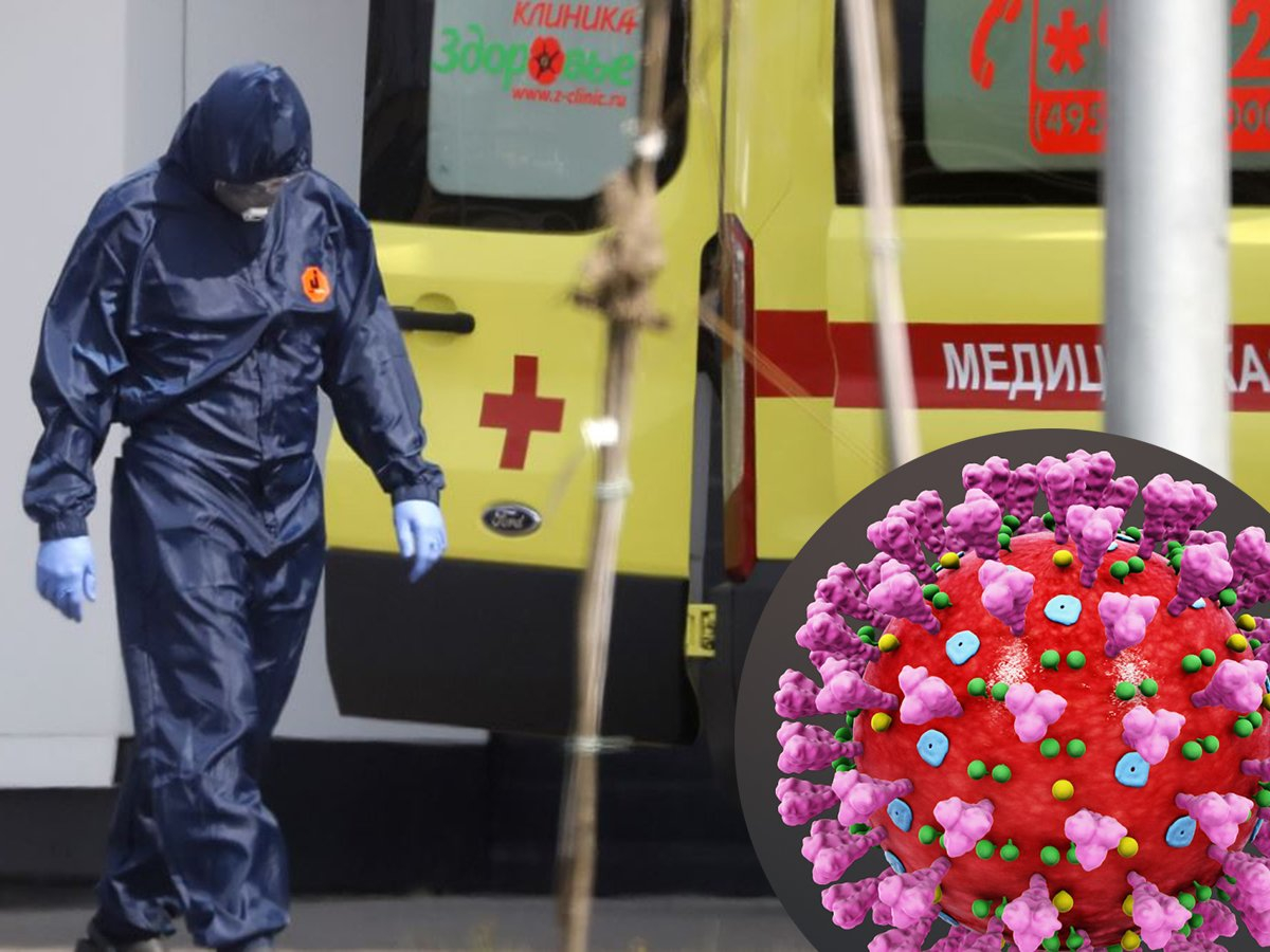 Где во Владимирской области больше всего заразившихся коронавирусом?