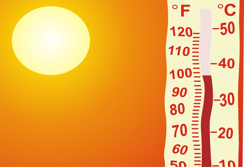 Во Владимирской области прогнозируют аномально жаркое лето