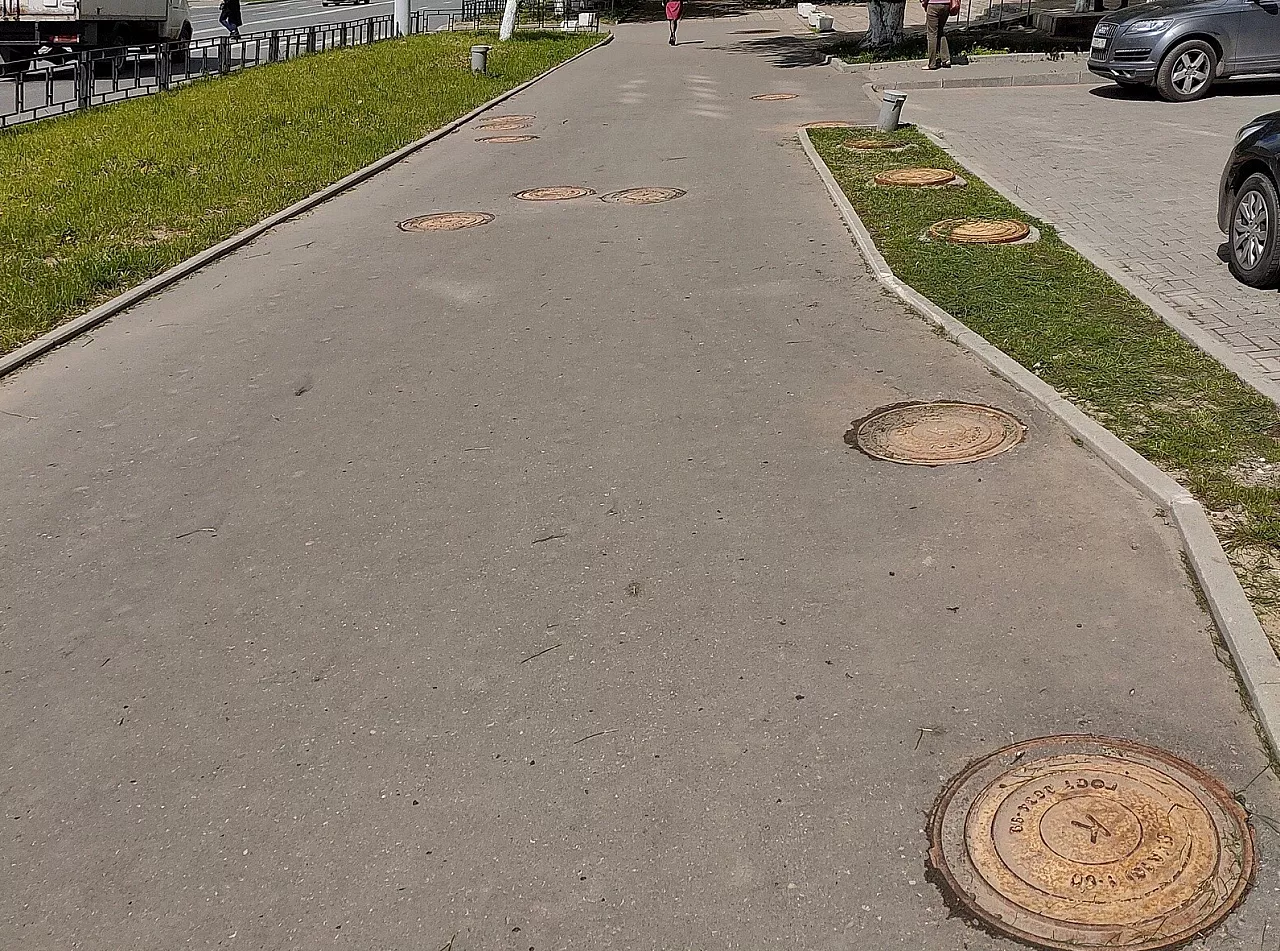 Фото к статье: Во владимирской канализации завелись черепашки-ниндзя?