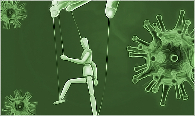 Многие владимирцы отказываются верить в эпидемию коронавируса