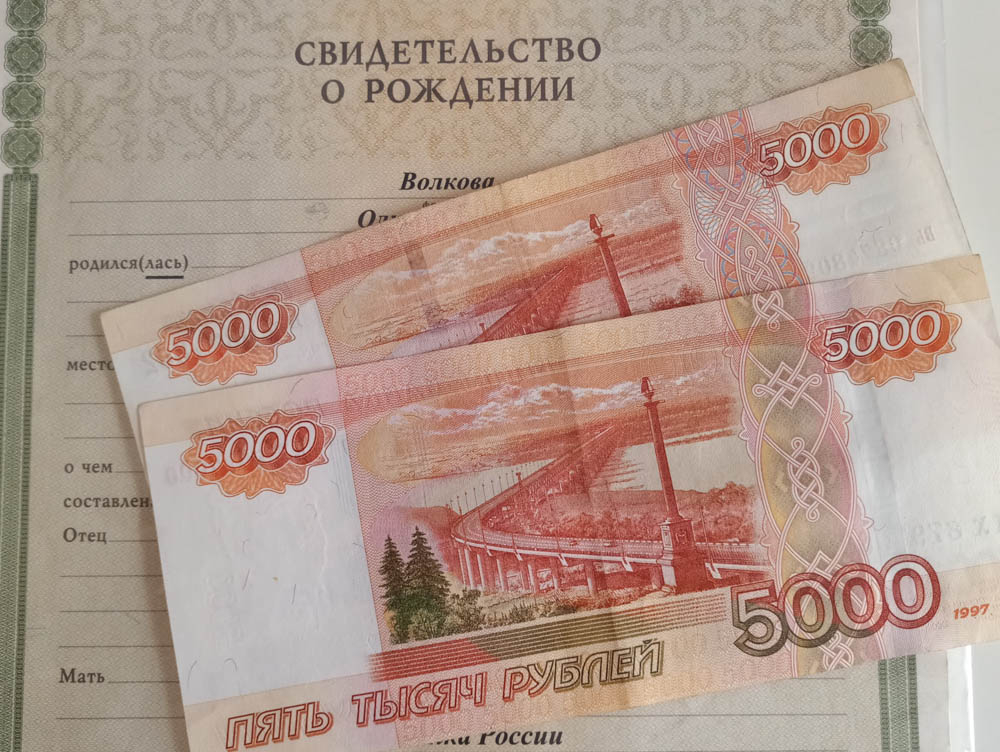 На счета 102 тысяч владимирских родителей отправили по 10 тысяч рублей