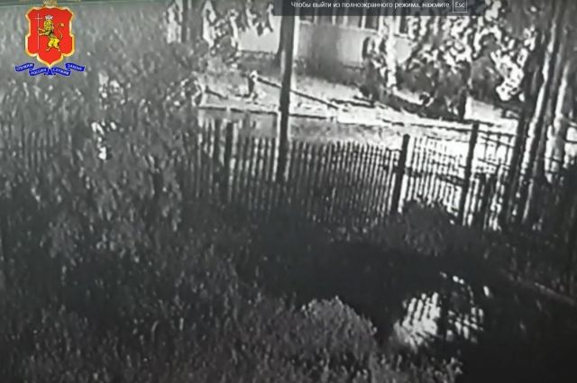 Опубликована запись с камер наблюдения роддома, где подбросили младенца