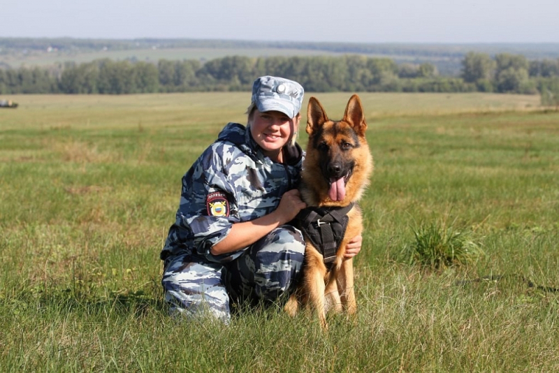 Во Владимире благодаря служебной собаке поймали преступника-вора