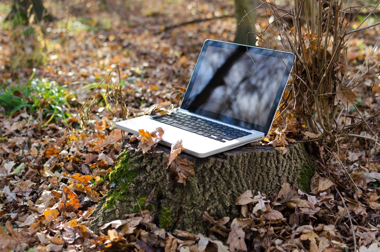 Ковровчанин передумал забирать украденный ноутбук, который он спрятал в кустах