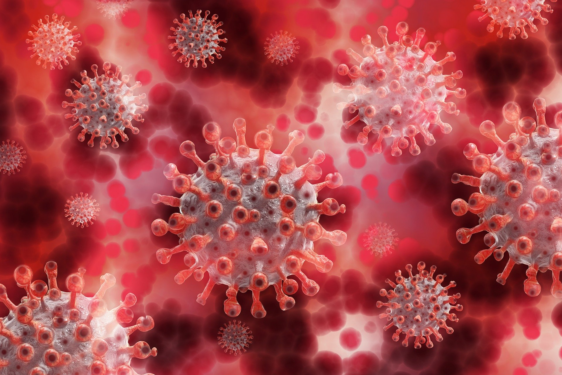 Ученые назвали способ уничтожения коронавируса за 25 секунд