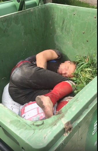 "Наелся и спит": ковровчанин мило устроился в мусорном контейнере