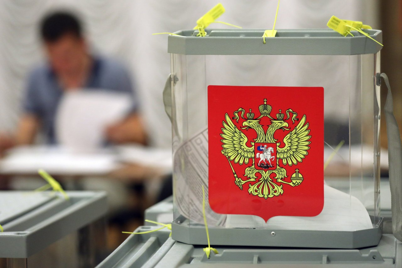 Стали известны результаты голосования во Владимирской области