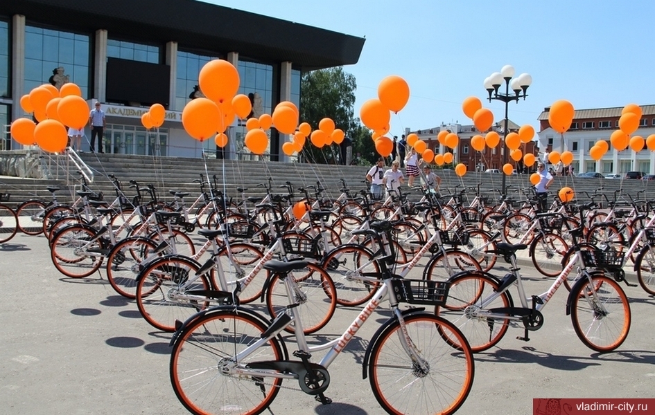 Власти в день физкультурника подарят владимирцам бесплатный велошеринг