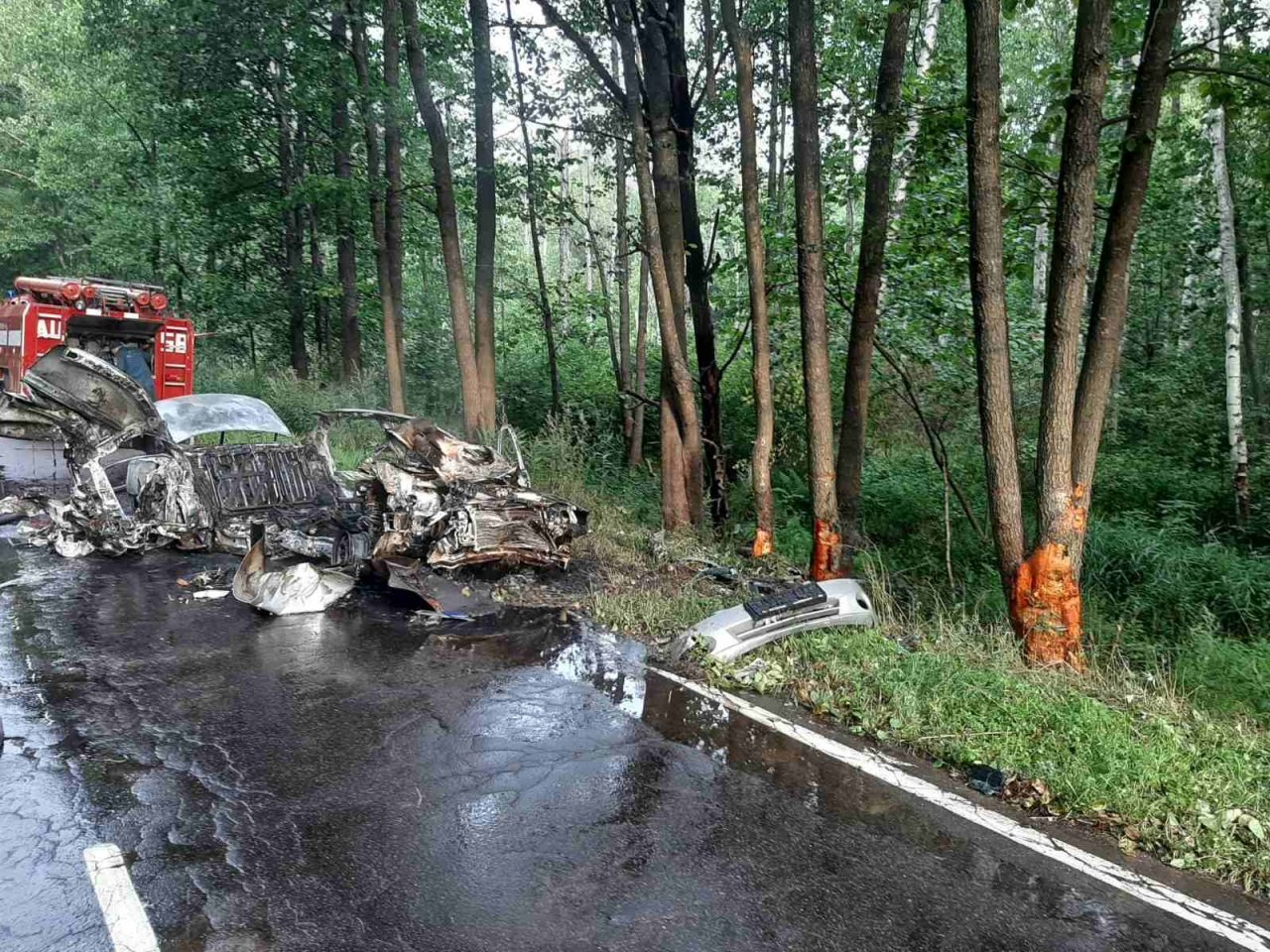 В Гусь-Хрустальном районе до тла сгорел автомобиль после столкновения с деревом